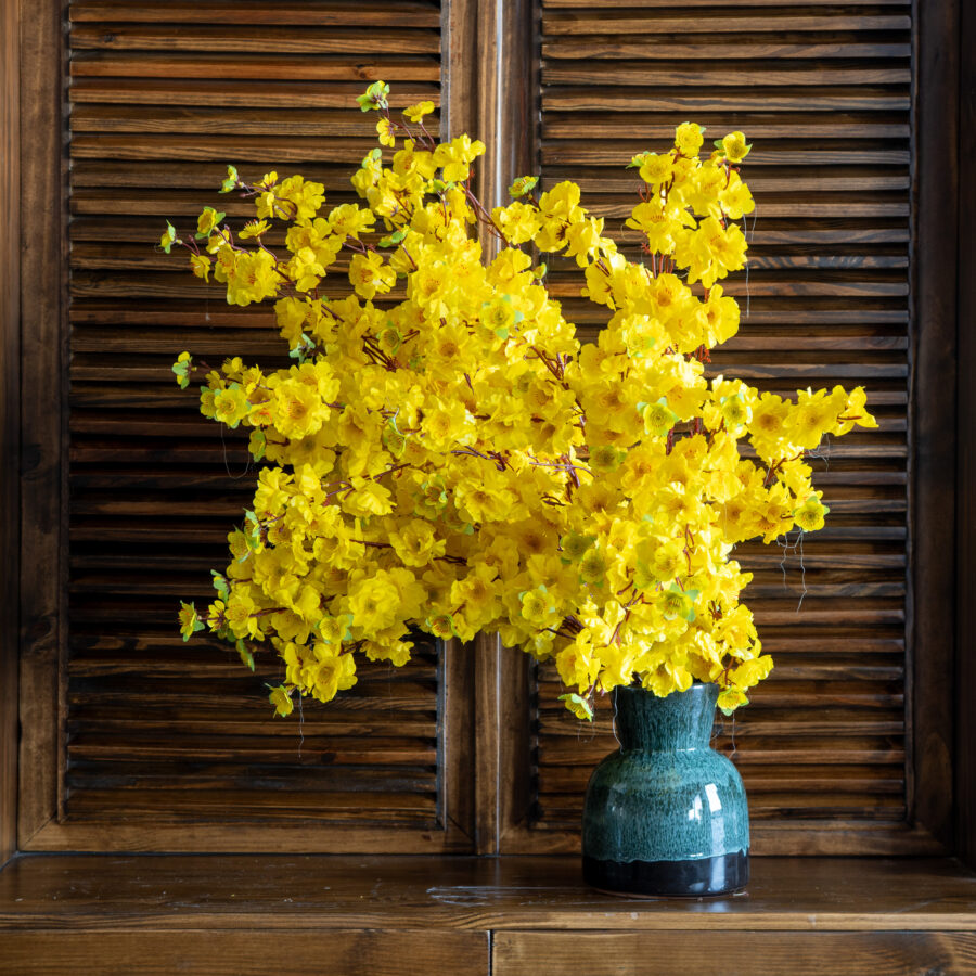 CÀNH MAI TRANG TRÍ