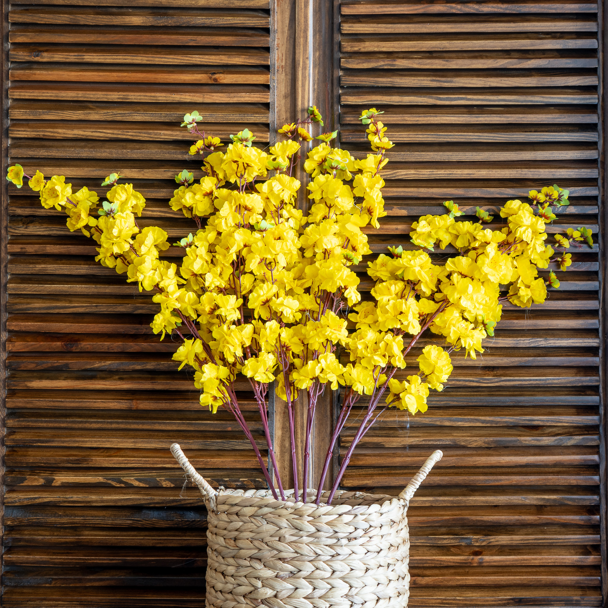 CÀNH MAI TRANG TRÍ - Ảnh 4