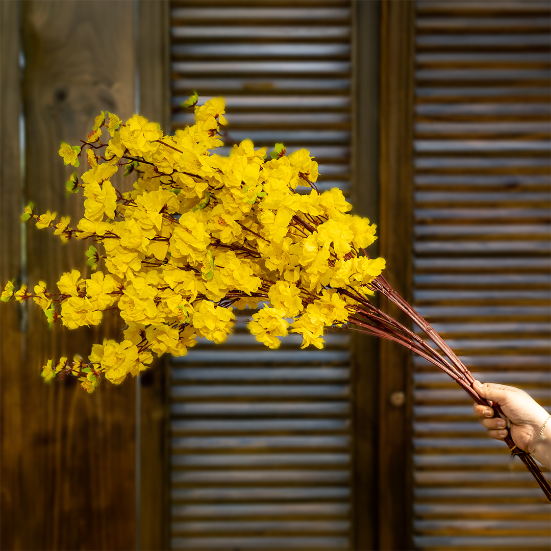 CÀNH MAI TRANG TRÍ - Ảnh 5