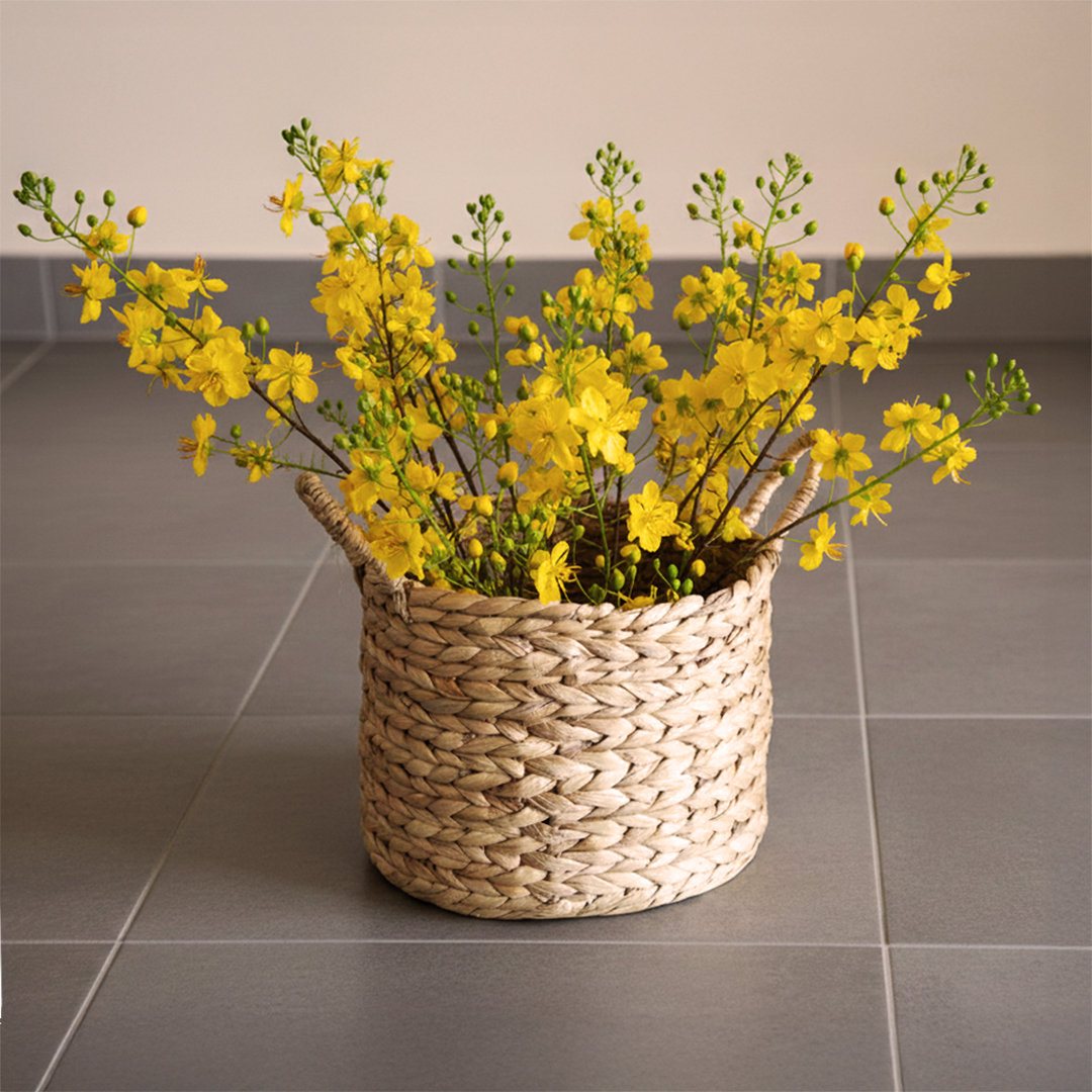 CÀNH MAI TRANG TRÍ - Ảnh 3